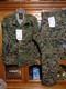 Usmc Marpat Uniform Woodland Set Combat Shirt Pant Small X Short New With Tag