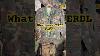 Erdl Camo Vs Woodland M81 Quelle Est La Différence Camouflage Militaire Surplus Armée Woodland